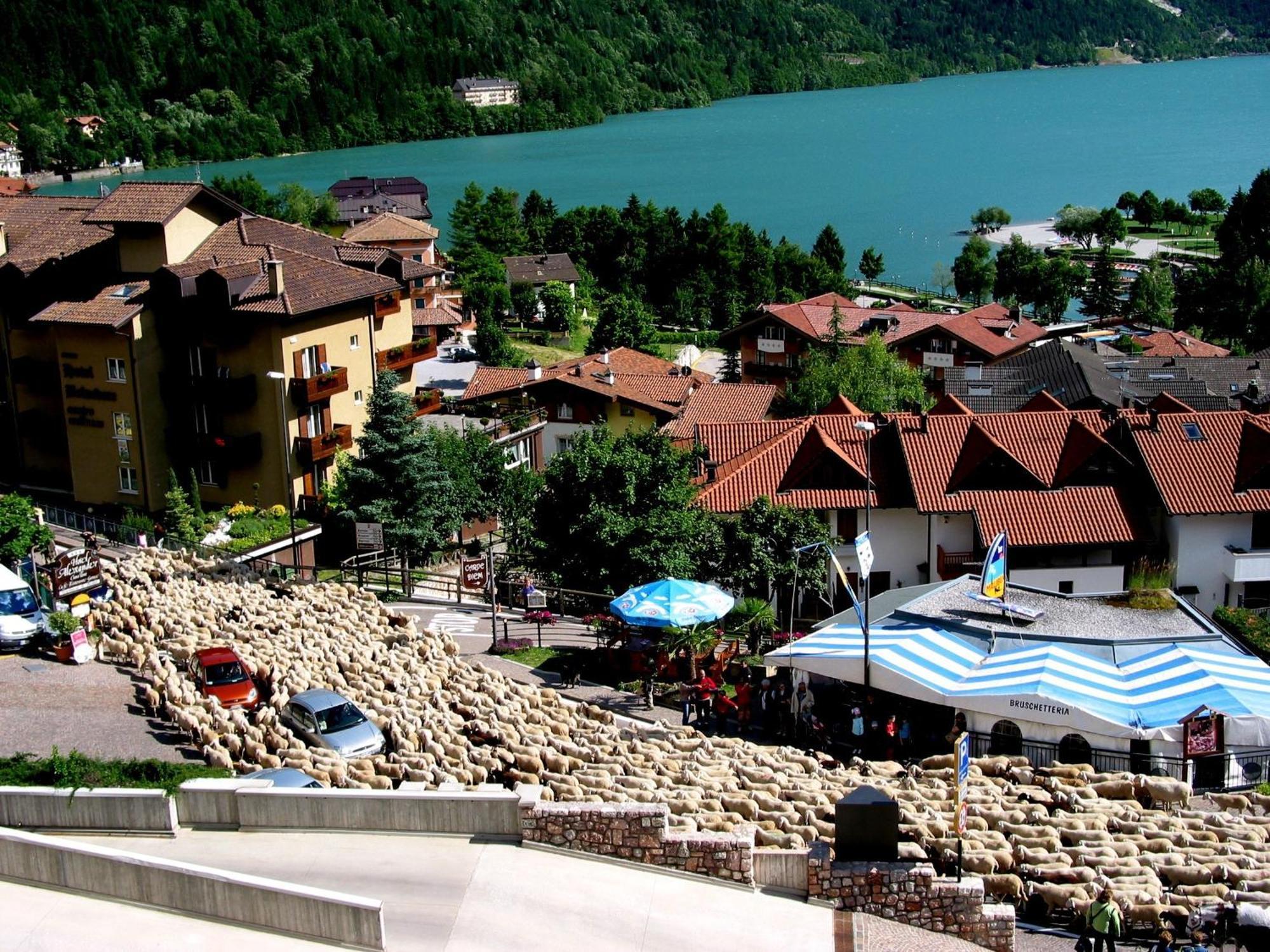 Stella Alpina Hotel 3*