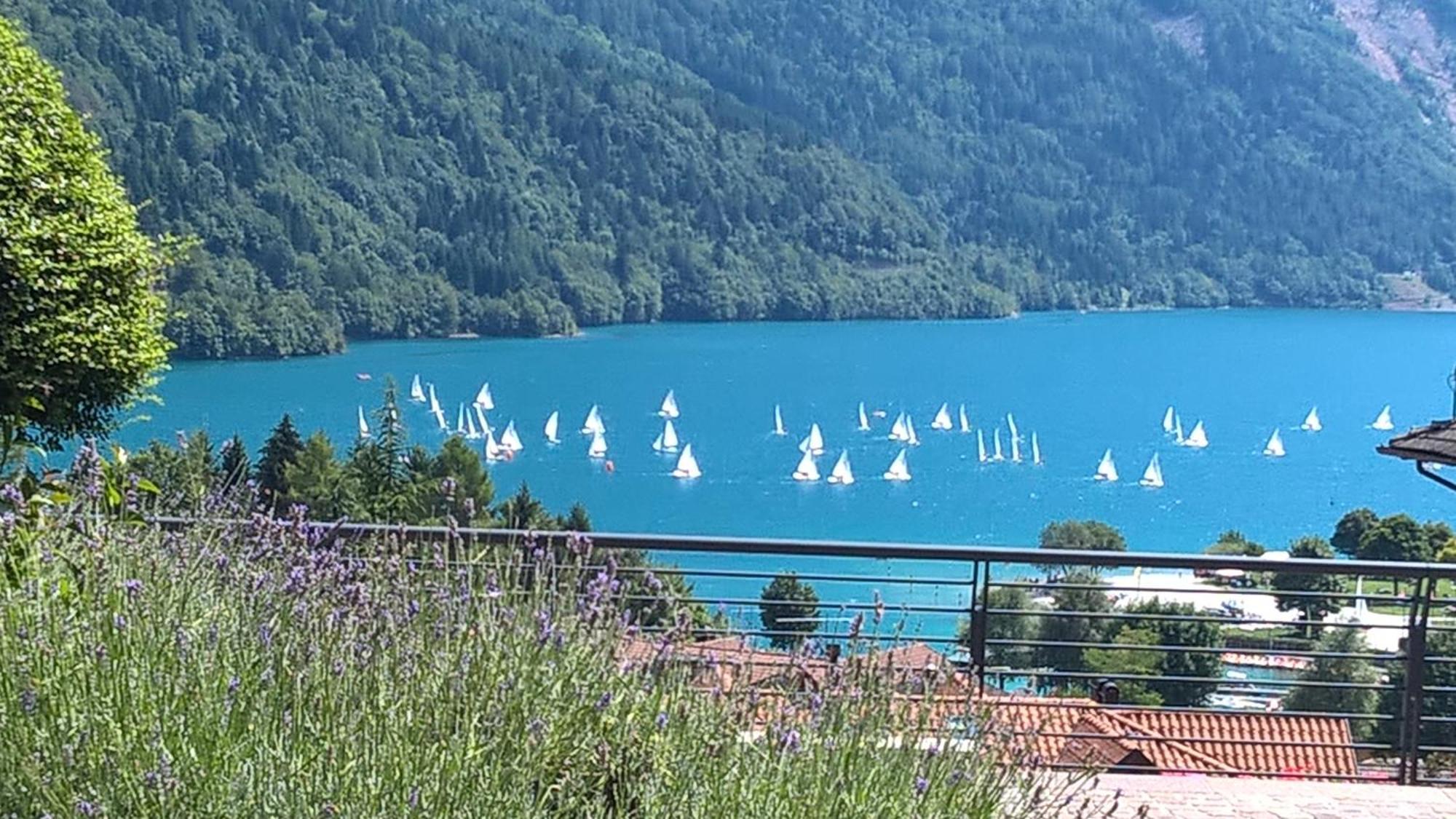 Stella Alpina Hotel 3*