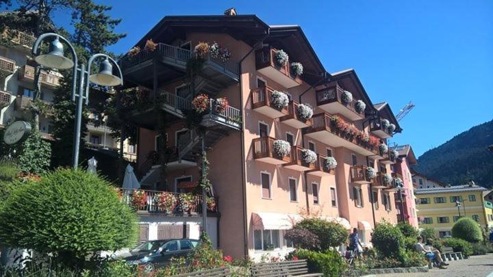 Stella Alpina Hotel 3*